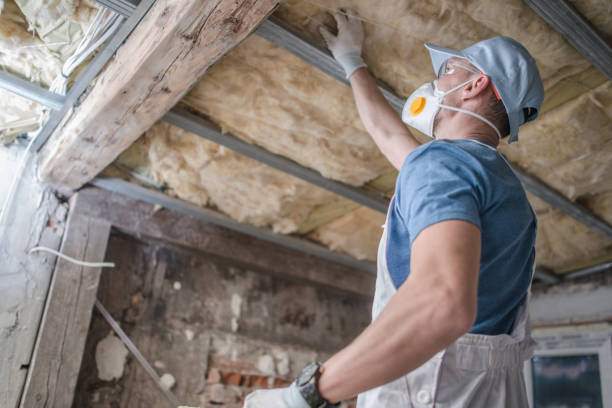 Best Cellulose Insulation in Vineland, NJ