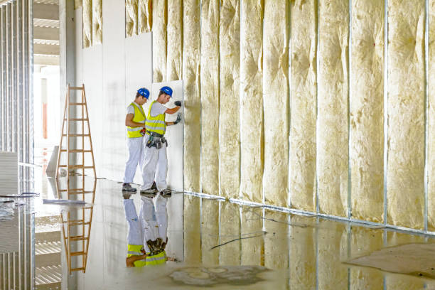 Best Residential Insulation in Vineland, NJ